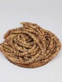 Hindistan Cevizi Kabuğu Ahşap Dizi Silindir Kesim 3*7mm (53074) - 3