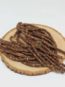 Hindistan Cevizi Kabuğu Ahşap Dizi Silindir Kesim 3*5mm (53062) - 3