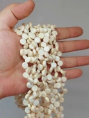 Hindistan Cevizi Kabuğu Ahşap Dizi Yassı Kesim 3*8mm (53050) - 1