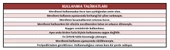 Elmas Serisi - 6+6 Basamaklı Çift Çıkışlı Galvanizli Profil Merdiven (Ev, bahçe, işyeri için uygun) - 7