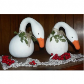 Kuğu Su Kabağı Tohumu Süs Kabağı Tohumu Ekim Seti 3 Tohum +Saksı - 1