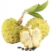 İthal Sugar Apple Tohumu Ekim Seti 3 Tohum +Saksı+Toprak+Süpriz - 1