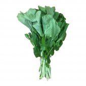 Roka Tohumu Ekim Seti 100 Tohum + Saksı + Toprak + Süpriz Hediye - 1