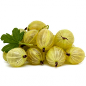 Tropikal Bektaş Üzümü Tohumu Ekim Seti Frenk Üzümü Tohumu 5 Tohum - 1