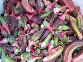 Nadir Kınalı Bamya Tohumu 5 Tohum + Süpriz Hediye Tohum - 2