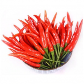 İthal Çok Acı Macar Biberi Tohumu Ekim Seti 10 Tohum +Saksı+Topra thumbnail 1