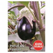 Dolmalık Adana Patlıcan Tohumu Ekim Seti 15 Tohum +Saksı+Toprak - 3