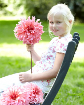 Dev Dahlia Çiçeği Tohumu Ekim Seti 5 Tohum + Saksı + Toprak - 1