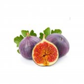 Siyah İncir Ağacı Bonzai Tohumu 5 Tohum Bonsai Ağacı Tohumu - 4