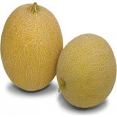 Ananas Kavun Tohumu 15 Tohum + Süpriz Hediye - 5