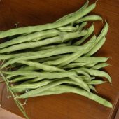 Kılçıksız Alman Ayşe Fasulye Tohumu 15 Tohum Fasülye + Süpriz - 3