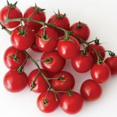 Nadir Pinpon Domates Tohumu + Süpriz Hediye Tohum thumbnail 2