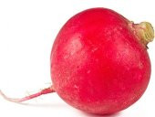 İri Kırmızı Adana Kadirli Turp Tohumu 50 Tohum + Süpriz Hediye To - 1