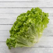 Kıvırcık Marul Tohumu 100 Tohum + Süpriz Hediye Tohum - 3