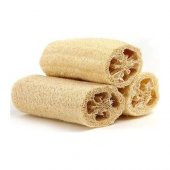 Lif Kabağı Tohumu 3 Tohum Kabak Tohumu + Süpriz Hediye Tohum - 1