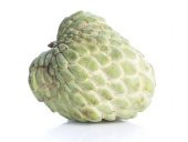 Sugar Apple Meyvesi Tohumu 3 Tohum + Süpriz Hediye Tohum - 2