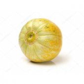 Nadir Mini Sarı Kabak Tohumu 3 Tohum + Süpriz Hediye Tohum thumbnail 1