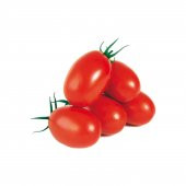 Saksılık Zeytin Domates Tohumu + Süpriz Hediye Tohum - 1