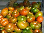 Yayla Domatesi Tohumu Domates Tohumu 15 Tohum + Süpriz Hediye Toh - 2