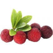 Tropikal Myrica Çin Çileği Tohumu 2 Tohum + Süpriz Hediye Tohum - 1