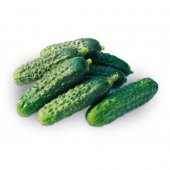 Kornişon Salatalık Tohumu 15 Tohum + Süpriz Hediye Sebze Tohumu - 1