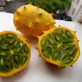 Kiwano Meyvesi Tohumu Kivano Dikenli Kavun + Süpriz Hediye Tohum - 3