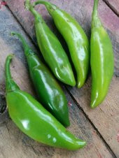 Eko Paket 75 Tohum Nadir Balık Biberi Tohumu Biber Tohumu thumbnail 1