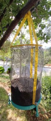 Flies Inn HG, Yeni Nesil Karasinek Tuzağı - 4