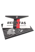 BEŞİKTAŞ ÇITÇIT DOSYA - 1
