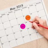 Tanex Mıx Color Ofis Etiketi 25mm 5-Renk 5.yaprak (100 Etiket) thumbnail 3