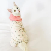 Softie Spotty Pink Kedi Tulumu Kedi Kıyafeti thumbnail 3