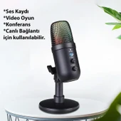 TriLine Profesyonel Kardioid RGB Oyuncu Stüdyo Kayıt Kablolu Podcast Mikrofonu - 5