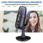 TriLine Profesyonel Kardioid RGB Oyuncu Stüdyo Kayıt Kablolu Podcast Mikrofonu - 3