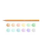 Carioca Kuru Boya Kalemi 12 Renk - 2