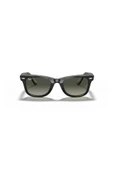 Rayban Unisex Güneş Gözlüğü 0RB2140-127771 - 2