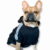 Adidog Black Hoodie Kapşonlu Sweatshirt, Orta ve Büyük Irklar İçin - 9