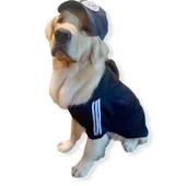 Adidog Black Hoodie Kapşonlu Sweatshirt, Orta ve Büyük Irklar İçin - 8