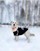 Adidog Black Hoodie Kapşonlu Sweatshirt, Orta ve Büyük Irklar İçin - 1