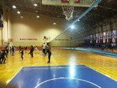 Adelinspor Gold Star Voleybol Filesi (Ağı) 20 m - 8