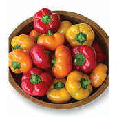 Peynir Biberi Tohumu Ekim Seti 5 Tohum Biber Tohumu +Saksı+Toprak - 1