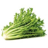 Nadir Hindiba Tohumu Hindibağ Tohumu Hindibağı Tohumu Hindi Bağı thumbnail 1