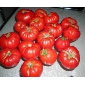 Ayaş Domatesi Tohumu Ekim Seti 10 Tohum Ayaş Domates Tohumu +Saks thumbnail 2