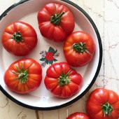 Ayaş Domatesi Tohumu Ekim Seti 10 Tohum Ayaş Domates Tohumu +Saks thumbnail 3