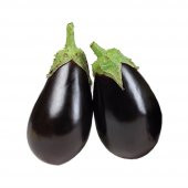 Nadir Dev İri Patlıcan Tohumu Ekim Seti 10 Tohum +Saksı+Toprak thumbnail 1