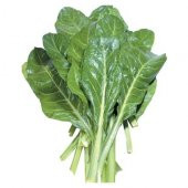 Pazı Tohumu 50 Tohum + Süpriz Hediye Tohum thumbnail 1