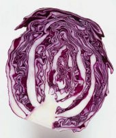 Meşhur Mor Lahana Tohumu 50 Tohum Kara Lahana + Süpriz Hediye Toh - 2