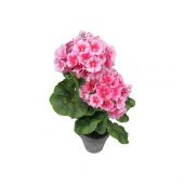 Pembe Çan Çiçeği Tohumu 5 Tohum + Süpriz Hediye Tohum thumbnail 1