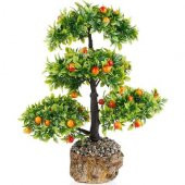 İthal Erik Bonzai Ağacı Tohumu 2 Tohum + Hediye Bonsai Tohumu - 1