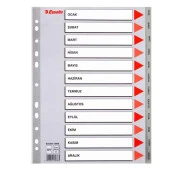 Esselte Seperatör Aylar Plastik A4 - 1