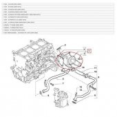 Fiat Doblo   ( 2000-2005 )  Termostat 1.3JTD          (55224021) - 5